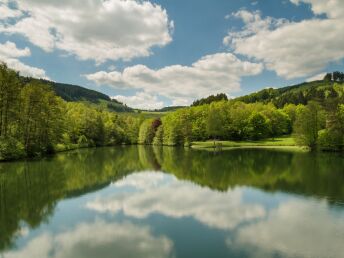 Ob Töpfern im Wald, Zipline-Flug oder Skywalk  - hauptsache Sauerland - 4 Nächte 
