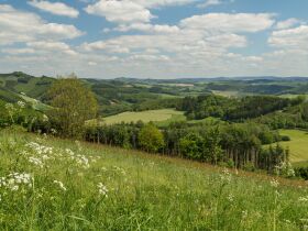 Wander - Schnuppertage im Sauerland  |  Besonderer Tipp: BierbrauWunderweg