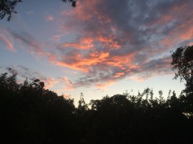 Frühling auf Rügen - 3 Tage inkl. 2x Abendessen