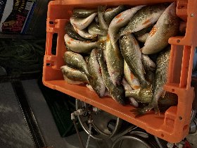 Frühling auf Rügen - 3 Tage inkl. 2x Abendessen