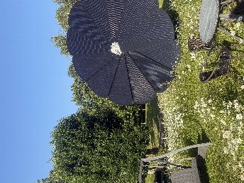 Bild 30 von 37