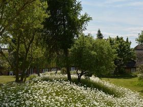 Frühling auf Rügen - 3 Tage inkl. 2x Abendessen