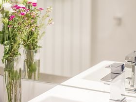 Wandern auf vier Pfoten am Rhein | 3 Tage inkl. Lunchpaket & Wein