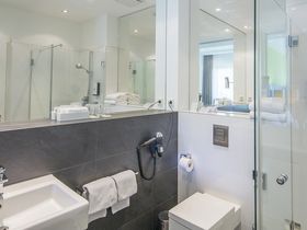 Wandern auf vier Pfoten am Rhein | 3 Tage inkl. Lunchpaket & Wein