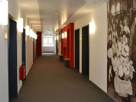 Wandern auf vier Pfoten am Rhein | 3 Tage inkl. Lunchpaket & Wein