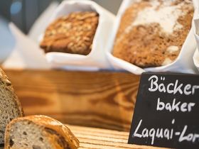 Wandern auf vier Pfoten am Rhein | 3 Tage inkl. Lunchpaket & Wein