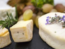 Wandern auf vier Pfoten am Rhein | 3 Tage inkl. Lunchpaket & Wein