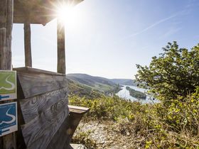 Wandern auf vier Pfoten am Rhein | 3 Tage inkl. Lunchpaket & Wein