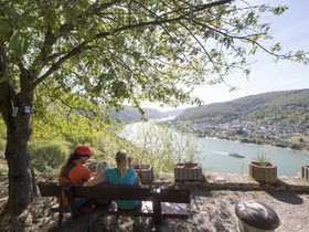 Wandern auf vier Pfoten am Rhein | 3 Tage inkl. Lunchpaket & Wein