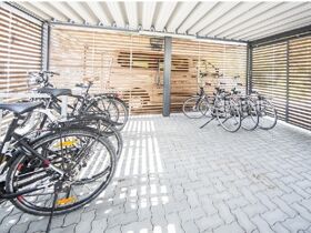 Wandern auf vier Pfoten am Rhein | 3 Tage inkl. Lunchpaket & Wein