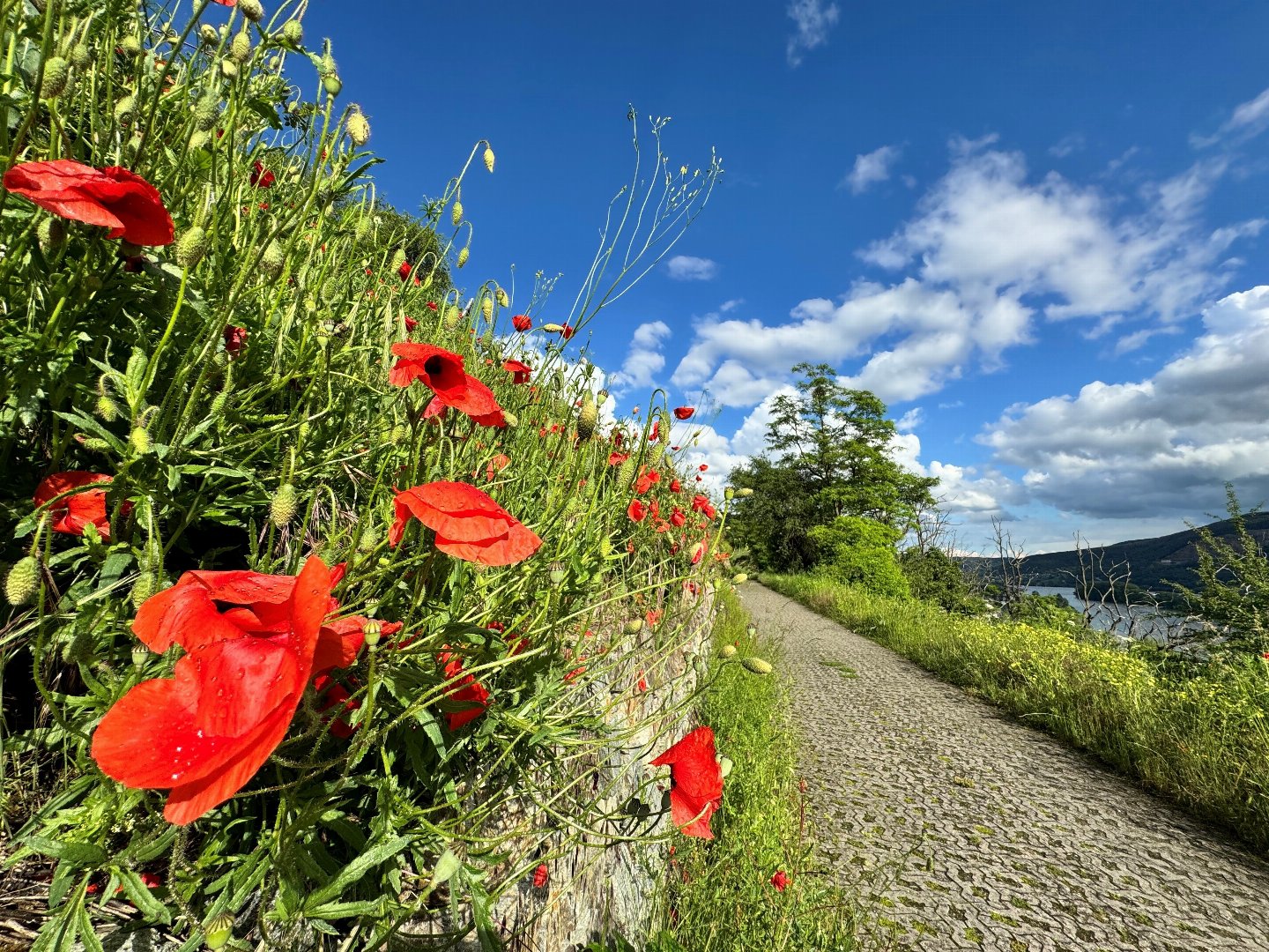 Sonntag – Ihre kleine Auszeit voller Genuss und Ruhe