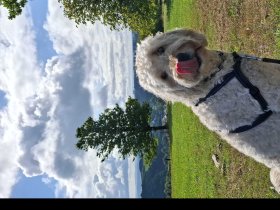 Kurztripp ins Sauerland 3 Tage inkl. Halbpension