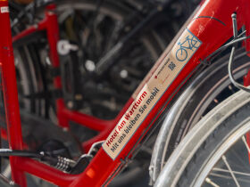 Kurzurlaub in Speyer - 4 Tage in der Pfalz inkl. Schlemmer-Abendmenü 