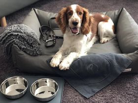 Kurzurlaub in Speyer - 4 Tage in der Pfalz inkl. Schlemmer-Abendmenü 