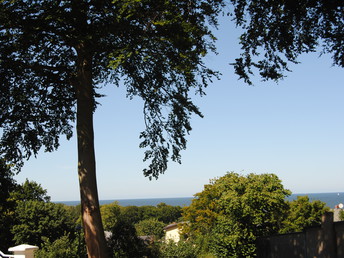 Bild 7 von 28
