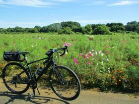 Goldener Herbst auf  der Mecklenburgischen Seenplatte