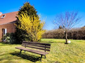 Goldener Herbst auf  der Mecklenburgischen Seenplatte