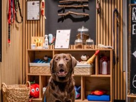 Lübeck zum Entspannen und Genießen - 4 Tage 