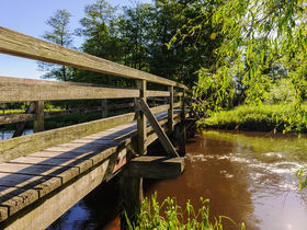 Wandern & Genießen im Naturpark Südheide | 4 Tage