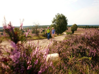 Kleine Auszeit in der Lüneburger Heide | 3 Tage