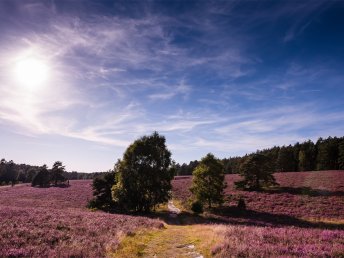 Kleine Auszeit in der Lüneburger Heide | 3 Tage