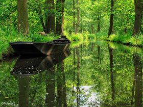 Spreewald erleben inklusive Kahnfahrt