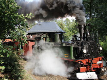 Eisenbahnromantik - Volldampf -  inkl. Halbpension