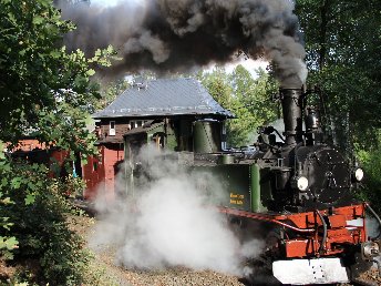  Dampfeisenbahnromantik im Zittauer Gebirge - Wochentage - Rabatt