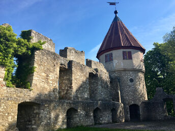 Bild 12 von 22