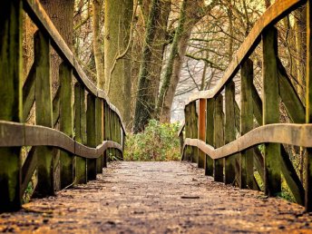 Midweek-Spezial im Sauerland