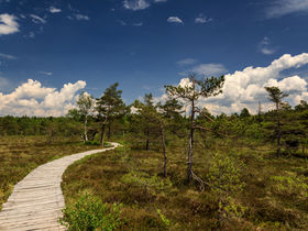 Silvesterzauber im Herzen der Rhön - Entspannt ins neue Jahr starten