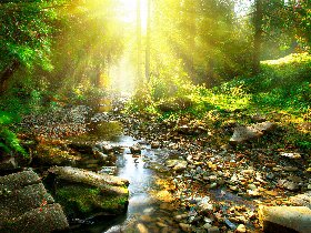 Prickelnder Jahreswechsel an Silvester 2025-2026 im Sauerland | 6 Tage