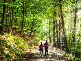 Kurztrip nach Meschede im Sauerland | 2 Tage*** 
