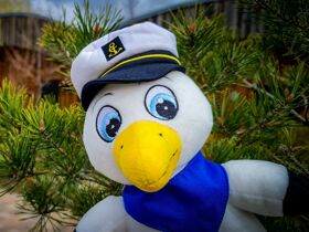 Maritimes LAGOVIDA-Schnäppchen-Angebot im Leipziger Neuseenland