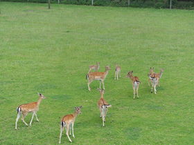 Wellness - und Romantikmomente zu Zweit inkl. Wellnesstag