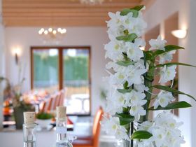 Sparen und erleben ! 8 Tage im wunderschönen Saarland erleben inkl. Saarland Card