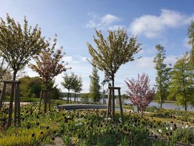 Herbstzauber auf Usedom - 2 Nächte