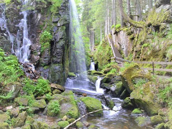Bild 35 von 37