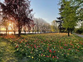 Hauptstadtfeeling- Berlin zum BEST-Preis - 2 Tage 