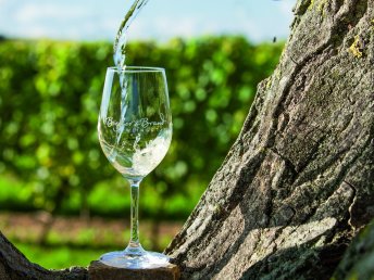 Weinromantik in Rheinhessen 