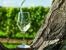 Einfach mal raus! Auszeit im Weinhotel in Rheinhessen - 3 Tage in Alzey