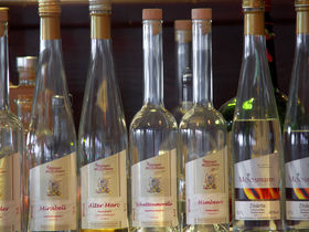 Wandern und Biken im Schwarzwald | 4 Tage Fohrenbühl