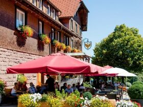 Wandern und Biken im Schwarzwald | 4 Tage Fohrenbühl