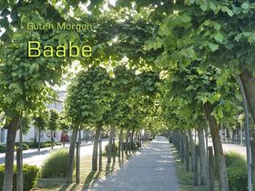 Silvester auf Rügen - Jahreswechsel am Meer