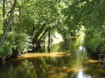 15% Sommer Sepcial / Radeln & Wandern durchs Münsterland inkl. Restaurant Gutschein