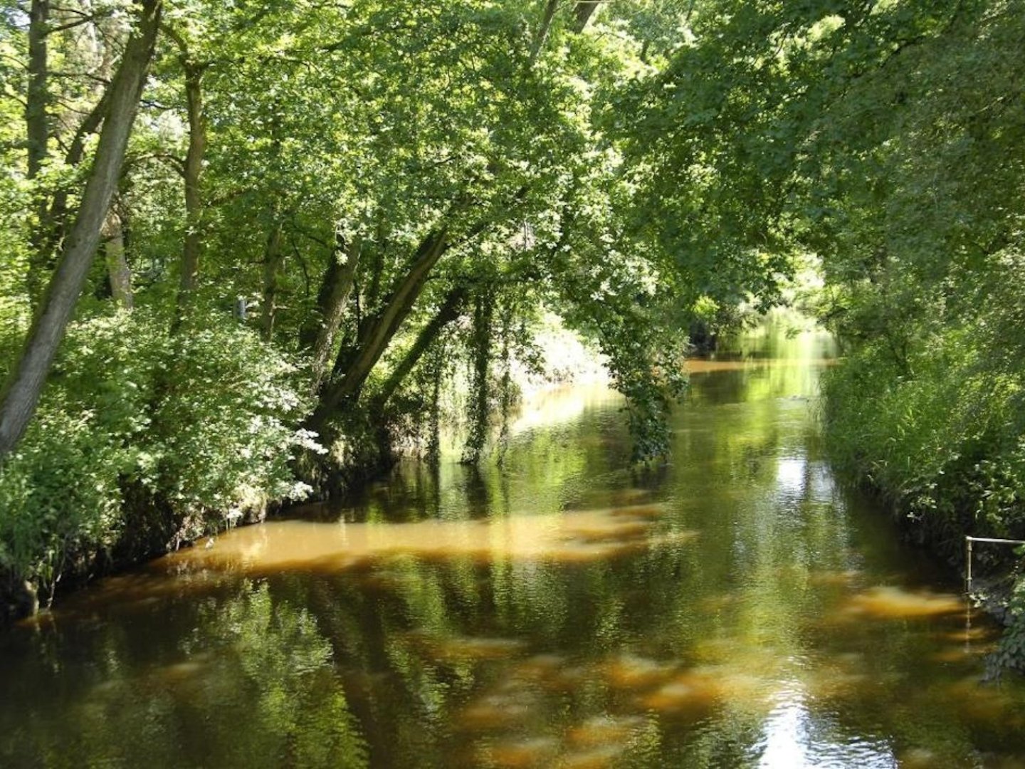 15% Sommer Sepcial / Radeln & Wandern durchs Münsterland inkl. Restaurant Gutschein