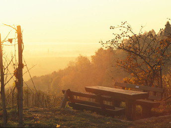 Bild 22 von 33