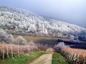 Silvester in der Pfalz - Welcome 2026 2