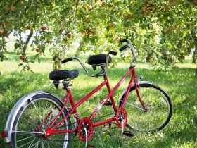  Kennenlernen & Träumen - 3 Tage