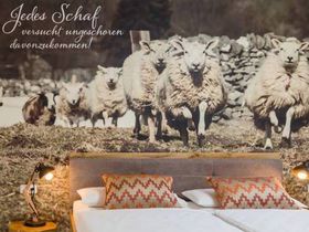 Natur pur! Picknick, Wandern oder Radeln in der Lüneburger Heide - 3 Tage inkl. Salzgrotte